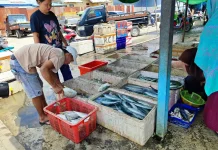 Kecamatan Talisayan, Sentra Perikanan Laut dengan Pesona Kampung Nelayan di Berau