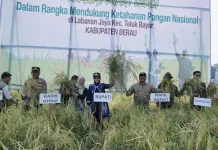 Bupati Sri Juniarsih: Petani Muda Adalah Masa Depan Pertanian Berau