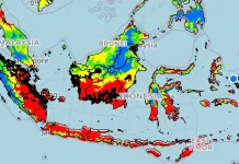 El Nino Menguat, BMKG Balikpapan Ingatkan Risiko Kekeringan dan Karhutla di Kaltim
