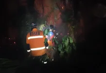 Karhutla di Pendingin Kukar Capai 140 Hektare