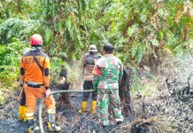 Empat Kebakaran Lahan Melanda Paser, Tim Gabungan Bergerak Cepat