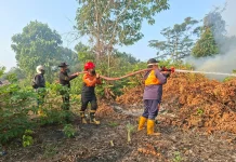 Karhutla Hanguskan Sekitar Satu Hektare Lahan di Sangatta Utara