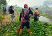 Karhutla Sangatta Utara Terkendala Akses dan Kabut Asap