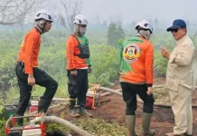 Prabowo Tekankan Penindakan Hukum terhadap Pelaku Karhutla di Kalimantan
