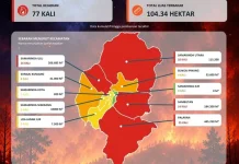 Kemarau Panjang Picu Karhutla, Samarinda Perkuat Kesiapsiagaan