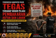Pemkab Paser Tindak Tegas Oknum Pelaku Pembakaran Hutan dan Lahan dengan Sengaja