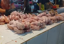 Kemendagri Minta TPID Telusuri Permainan Harga Daging Ayam Ras