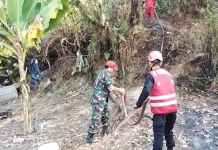 Aksi Sigap Brimob Jinakkan Karhutla di Gunung Sari Ulu Balikpapan
