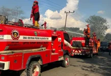 Karhutla Berau, BPBD Ungkap Kendala Sumber Air hingga BBM