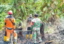 BPBD Paser Ungkap Kendala Tangani Karhutla, Infrastruktur hingga Angin Kencang