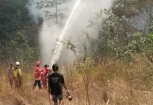 Karhutla Satu Hektare Terbakar di KM 10 Tenggarong-Samarinda