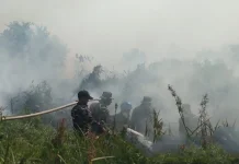 Karhutla Hanguskan Sekitar 7 Hektare Lahan di Sangatta Selatan