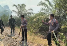 Tim Gabungan Berhasil Padamkan 4 Hektar Lahan Terbakar di Paser Blengkong