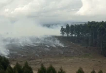 Status Siaga Hidrometeorologi Kaltim Diperkuat Hadapi Karhutla dan Kekeringan