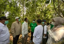 Raffi Ahmad Pastikan Kondisi Tiga Bayi Orangutan Pascakebakaran di Berau