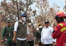 Menteri Kehutanan Tinjau Eks Karhutla di Berau