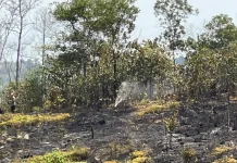 Karhutla Satu Hektar Dekat TPU Prona Balikpapan Diduga Dipicu Pembakaran Sampah