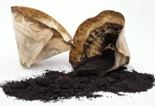 Ampas Kopi Jangan Berakhir di Tempat Sampah, Ini Beragam Manfaatnya