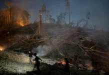 Pembakaran Lahan untuk Sawit Berujung Karhutla di Kaliorang
