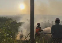 Sehari Dua Karhutla Terjadi di Bontang dan Teluk Pandan