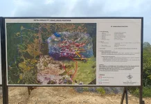 Satgas PKH Kuasai Kembali 111,71 Hektare Lahan Konservasi di Tahura Bukit Soeharto