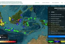 Kabut Asap Selimuti Delineasi IKN, Indeks Pencemaran Udara Wonotirto Tembus 162