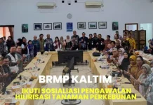 BRMP Kaltim Perkuat Pengawalan Hilirisasi Tanaman Perkebunan