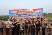 Kaltim Perkuat Ketahanan Pangan lewat Panen Jagung di Kota Samarinda