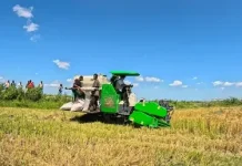 Sektor Pertanian Indonesia Merdeka dari Ketergantungan Impor Pangan