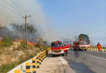 Tim Gabungan Jinakkan Karhutla di Jalan Muara Jawa-Sangasanga