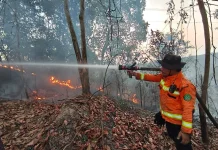 Karhutla Muara Kembang Meluas, Tim Gabungan Terkendala Air