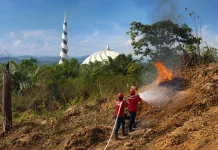 Api Membayangi IKN, Kesiapan Pemadaman Diperkuat Lintas Sektor