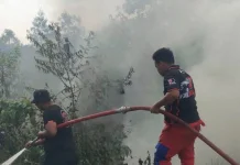 Kebakaran Lahan Dua Hektare Terjadi di Manggar Balikpapan