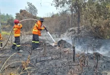 Karhutla Anggana Hari Kedua, Area Terbakar Capai 8 Hektare