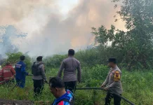 Api Bakar Tiga Hektare Lahan Gambut di Palaran Samarinda, Polisi Bergerak Cepat