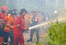 Cegah Karhutla Otorita IKN Latih Petani Tanpa Bakar Lahan