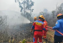 Kebakaran Lahan Empat Hektare Terjadi di Kariangau Balikpapan
