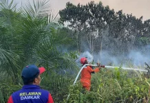 Karhutla di Tabalar Berau Bakar Dua Hektare Kebun Warga