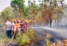 Kebakaran Lahan di Graha Indah di Balikpapan Utara