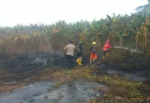 Kebakaran Lahan di Bukuan, Api Berhasil Dipadamkan