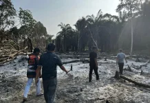 Buka Lahan dengan Dibakar Dua Warga Diamankan Polisi di Sotek PPU
