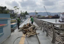 Sampah Menumpuk, DLH Samarinda Bersihkan Teras Sungai