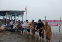 BRMP Kaltim Dorong Optimalisasi Lahan Danau Semayang untuk Tanaman Padi