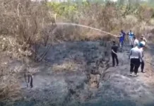 KPHP Telake Perkuat Peran Masyarakat Peduli Api Hadapi Ancaman Karhutla
