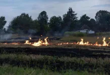 Perusahaan di Sungai Siring Ikut Bantu Tangani Karhutla Samarinda Utara