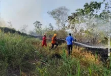 Kebakaran Lahan Dua Hektare Terjadi di Balikpapan Timur