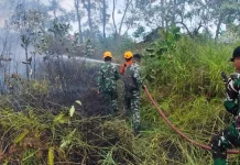 Api Lahap Dua Hektare Lahan di Balikpapan Selatan