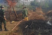 Lahan Batu Bara Terbakar, Karhutla Hanguskan 0,5 Hektare di Sangatta