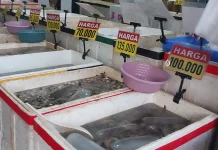 Cuaca Panas dan Pasokan Menipis Harga Ikan di Sepaku Mulai Naik