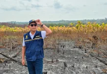 Karhutla Bukit Tengkorak Padam Otorita IKN Perkuat Patroli